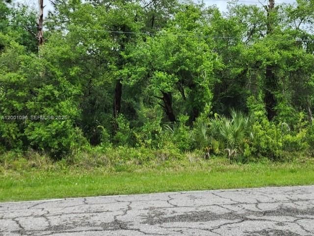 На продажу: $56,000 (1.25 acres)