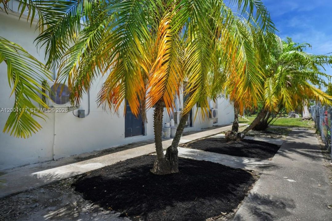 En Venta: $1,000,000 (0 camas, 0 baños, 2478 Pies cuadrados)