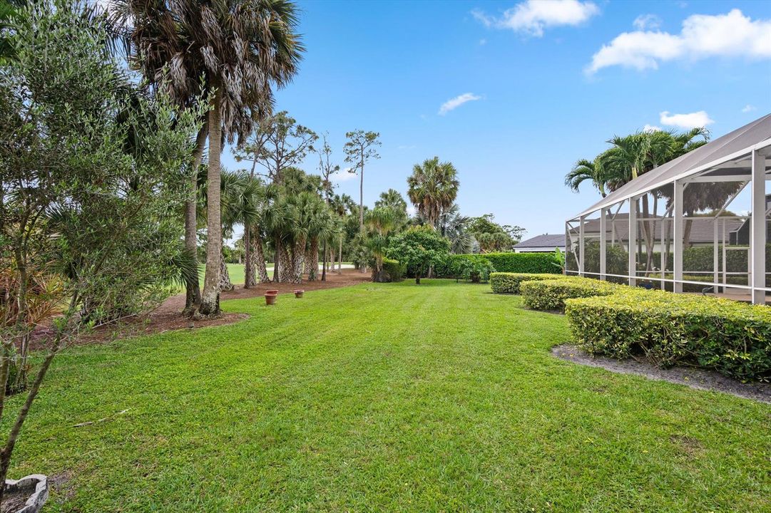 Back yard
