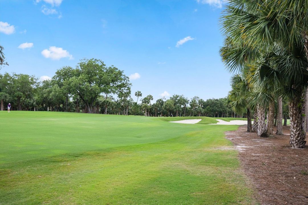 5th Fairway Breakers Rees Jones Course