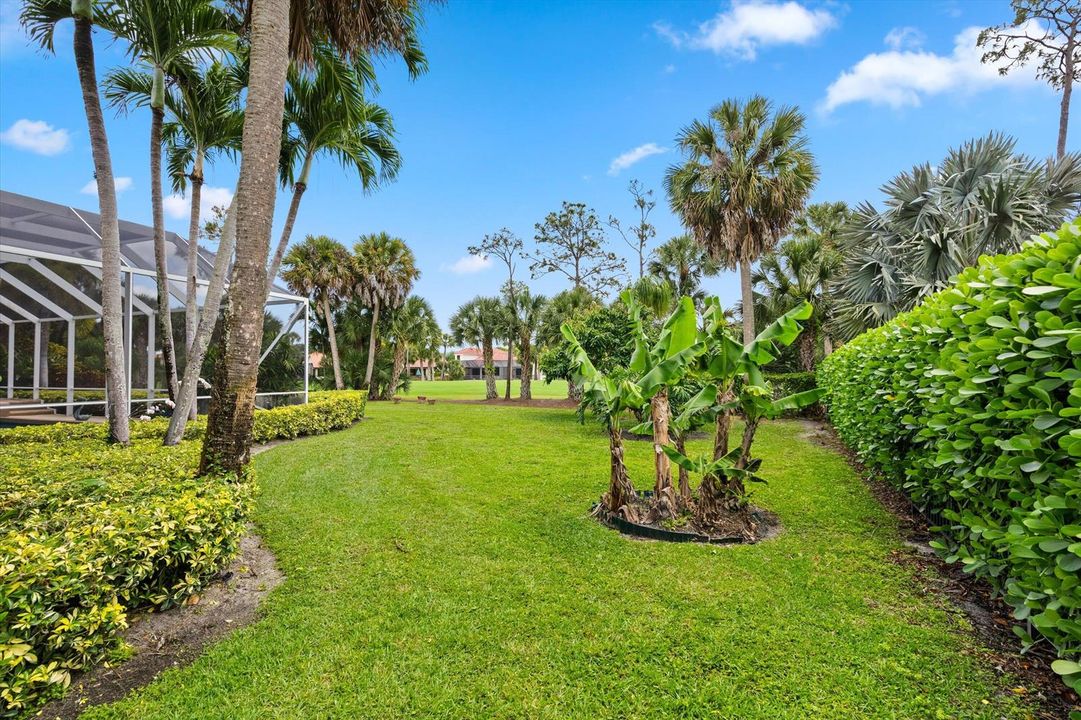 Back yard along Breakers West Course