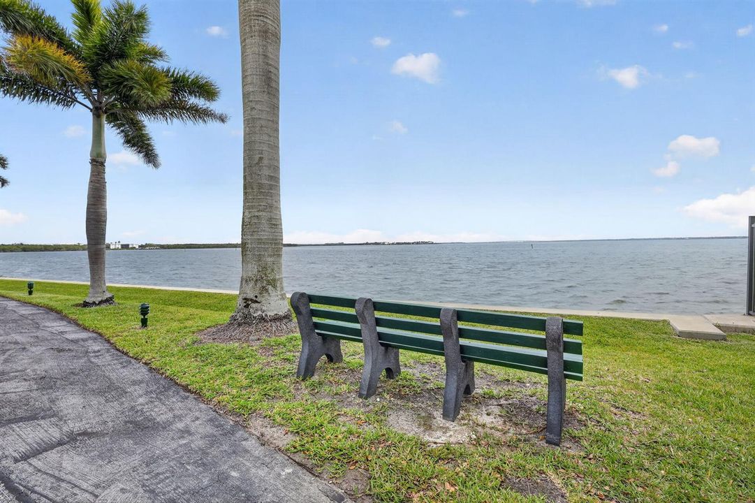 41-web-or-mls-5P1A0405