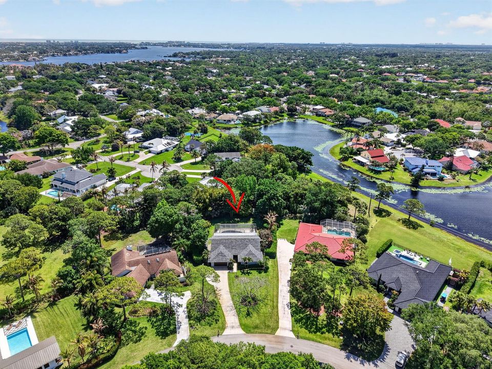 89-web-aerial4 red gum
