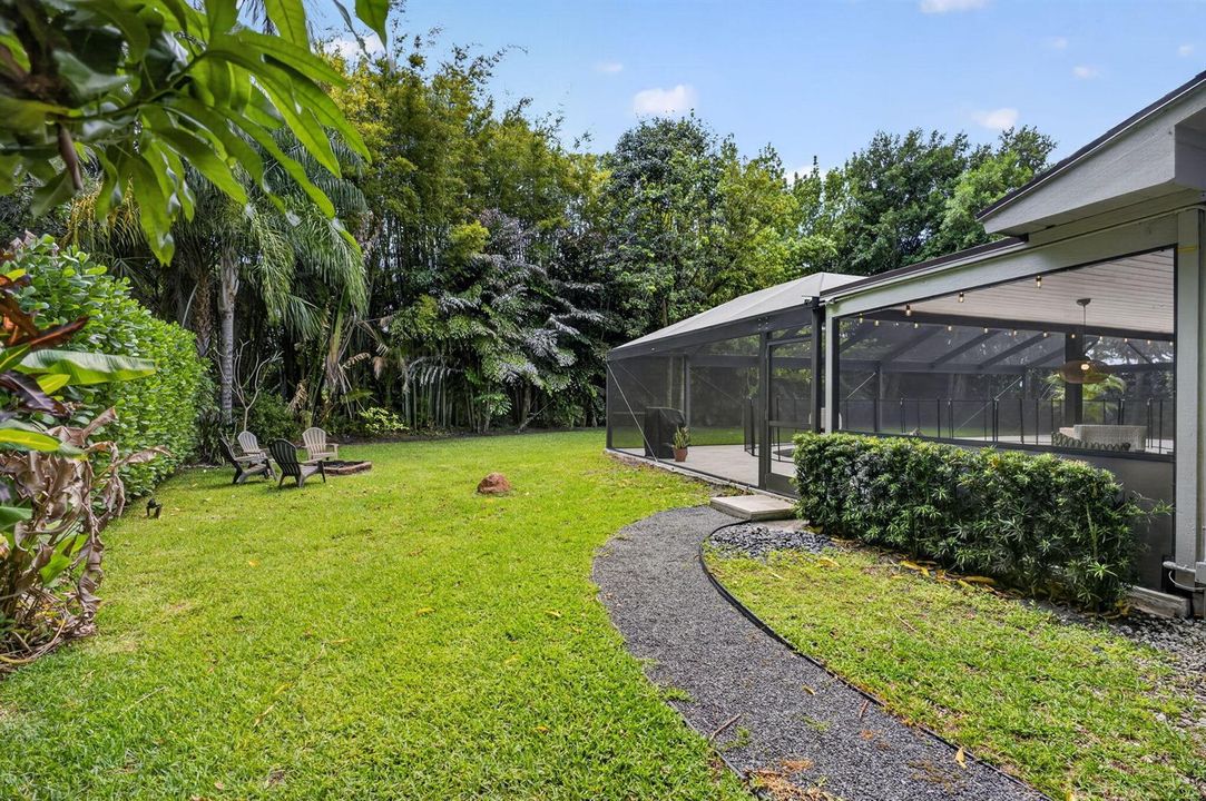 70-web-backyard red gum