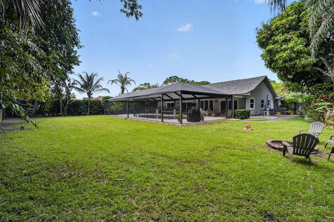 74-web-yard2 red gum
