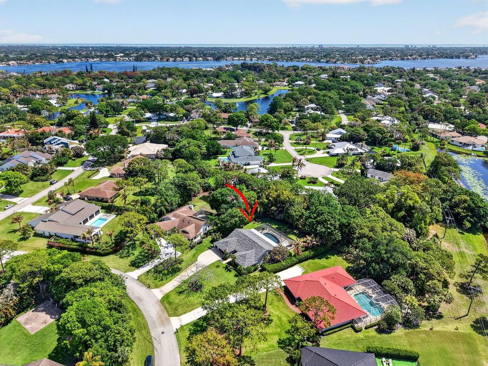 96-web-aerial7 red gum