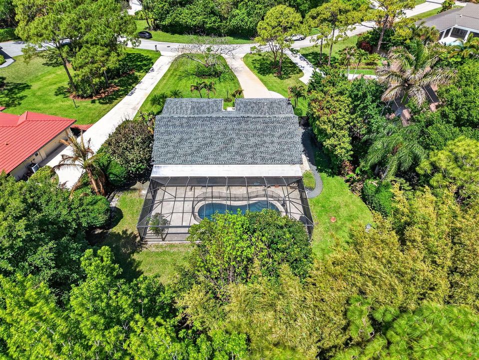 85-web-aerial3 red gum