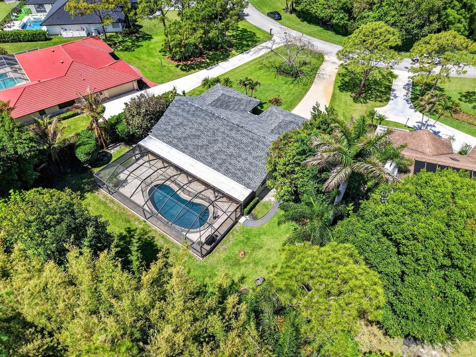 86-web-aerial4 red gum