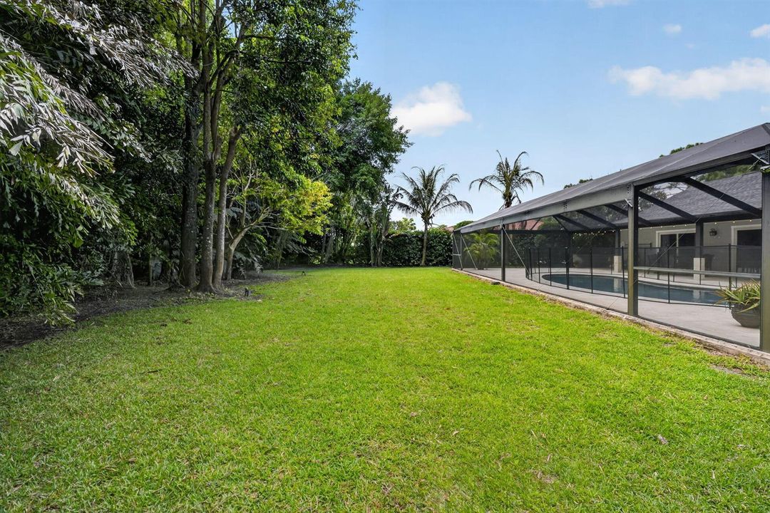 75-web-backyard2 red gum