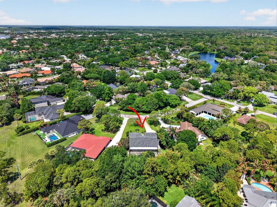 93-web-aerial6 red gum