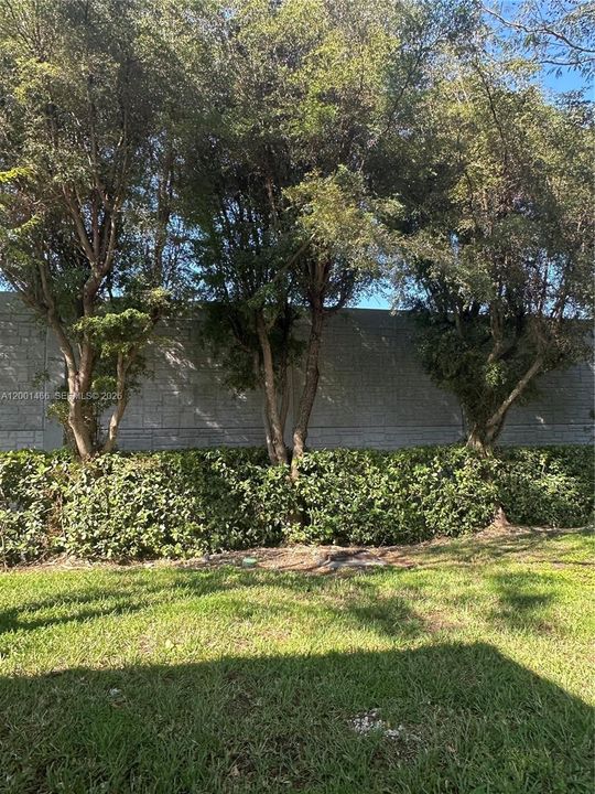 Back of property