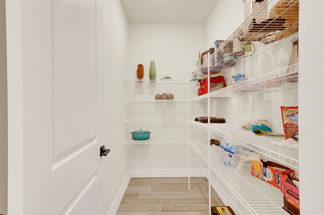3J0A4919
