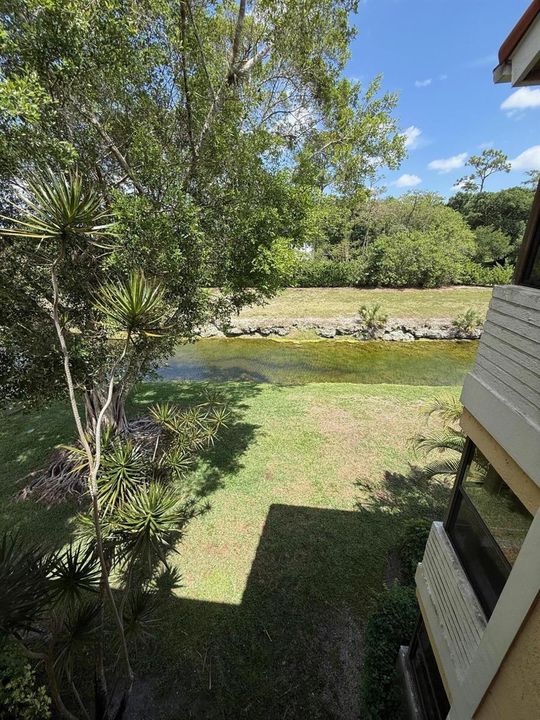 5721 BACKYARD VIEW