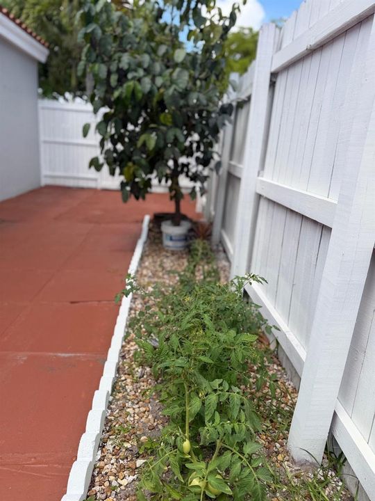 FENCE