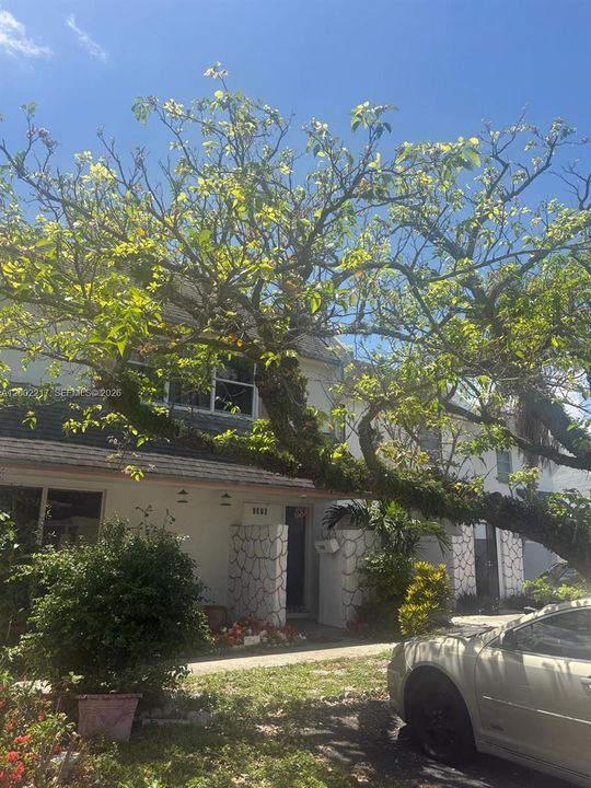 Activo con contrato: $370,000 (4 camas, 2 baños, 1492 Pies cuadrados)