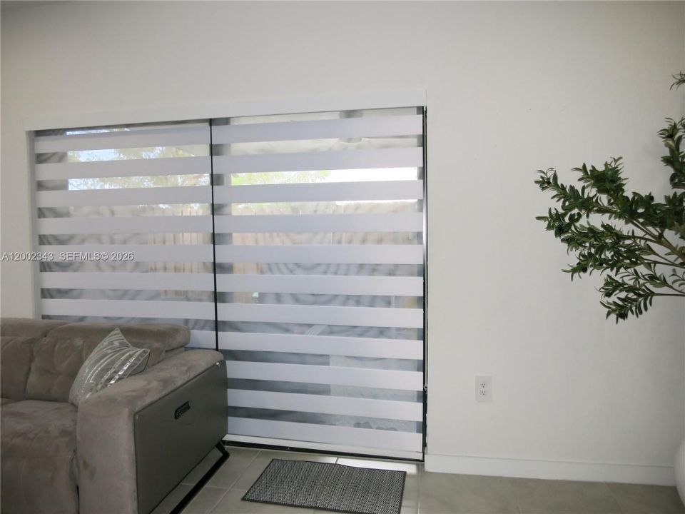 Zebra Blinds