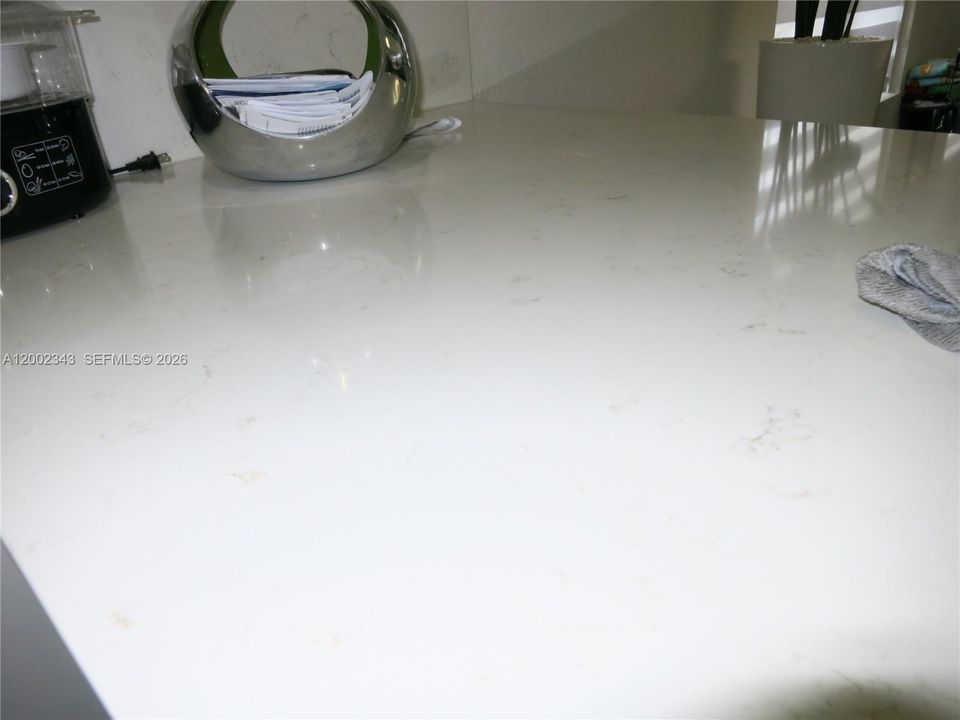 Quartz Counters and Backsplash too