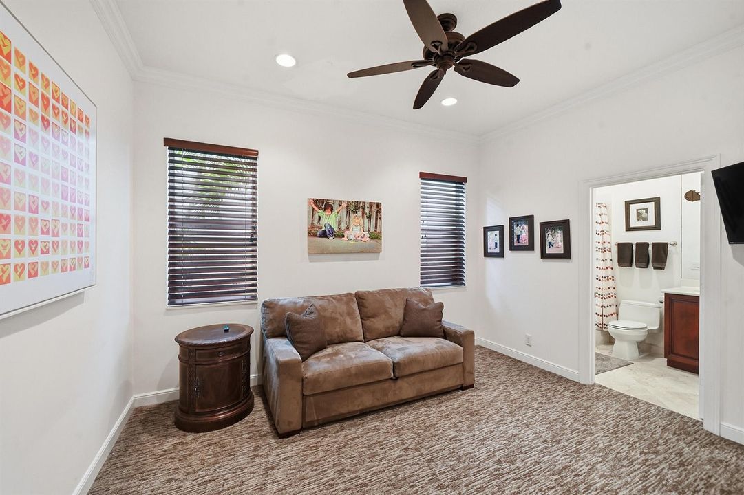 Lower Level Guest Bedroom