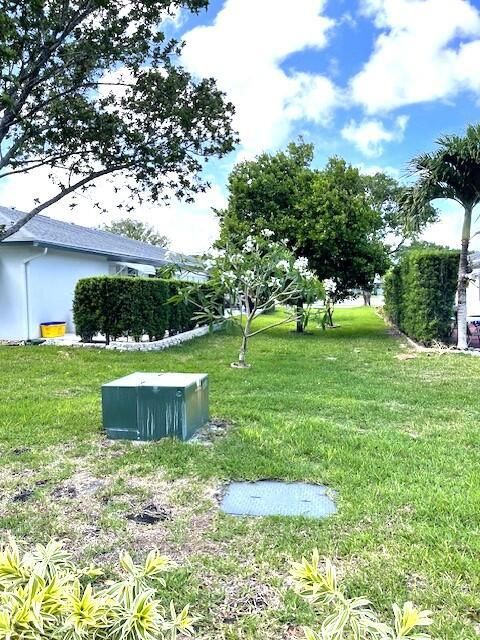 Back yard photo