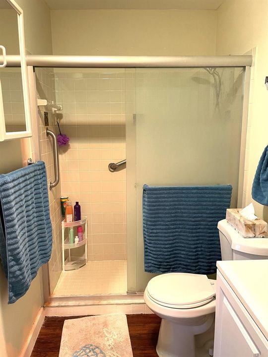Primary Bathroom (1)