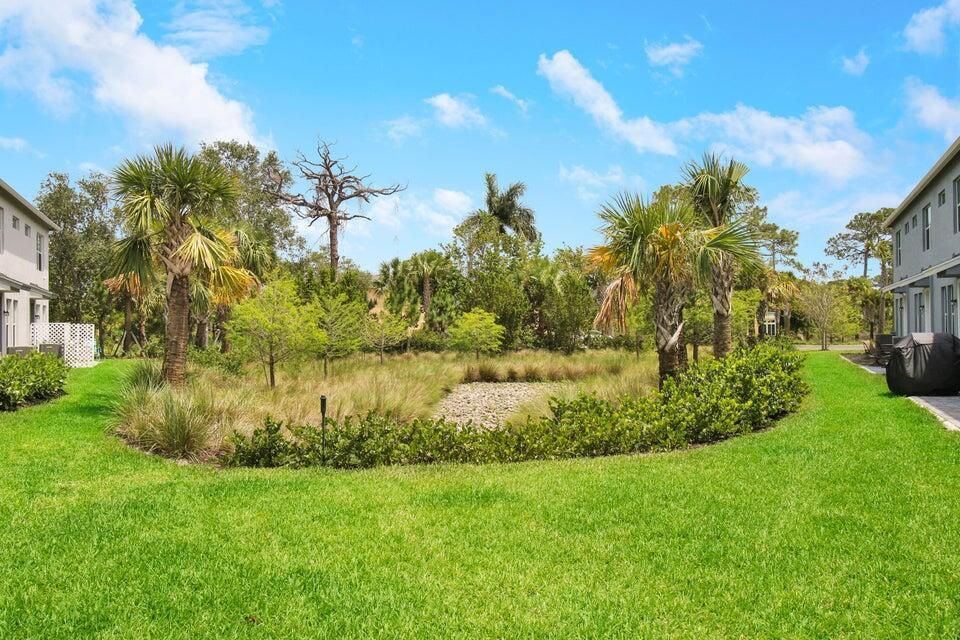 Back of Property