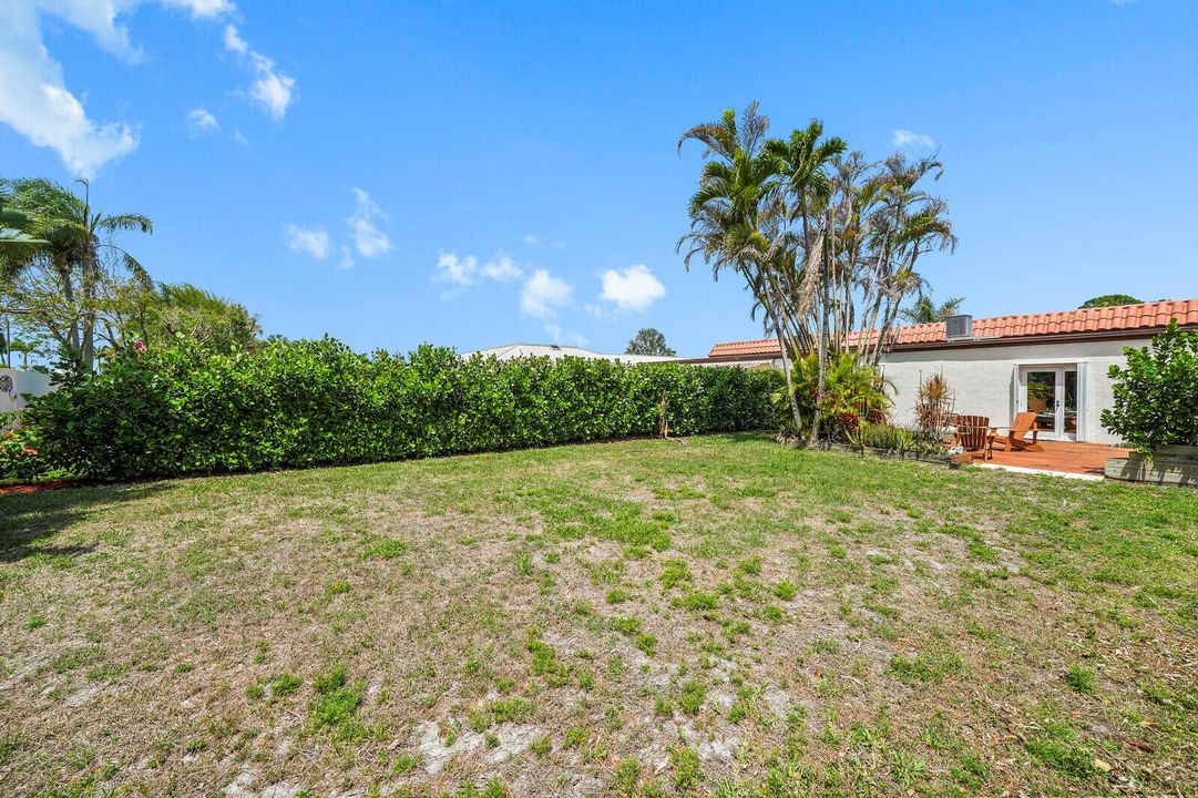 large back yard