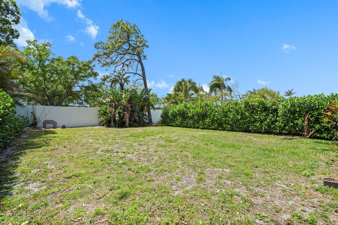 large back yard