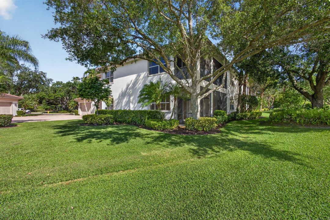 66-web-or-mls-5D1A7325