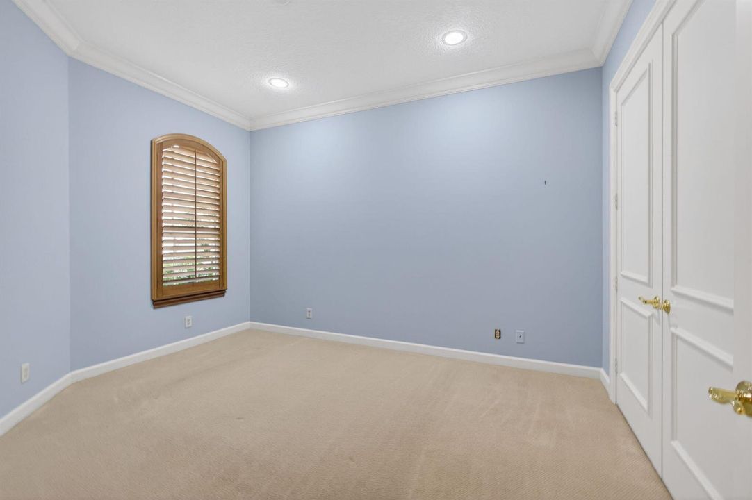 41-web-or-mls-5D1A7558