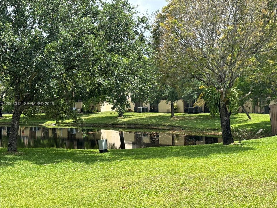 View From Patio