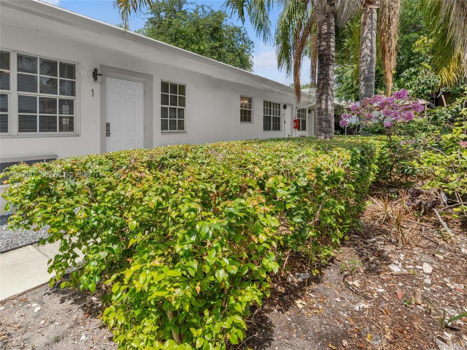 Front Yard - common areas