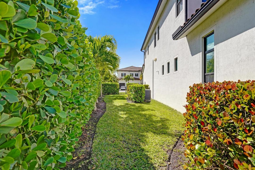 Side Yard