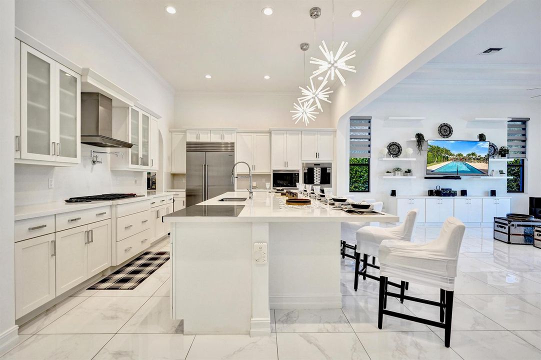 Large Chef's Kitchen