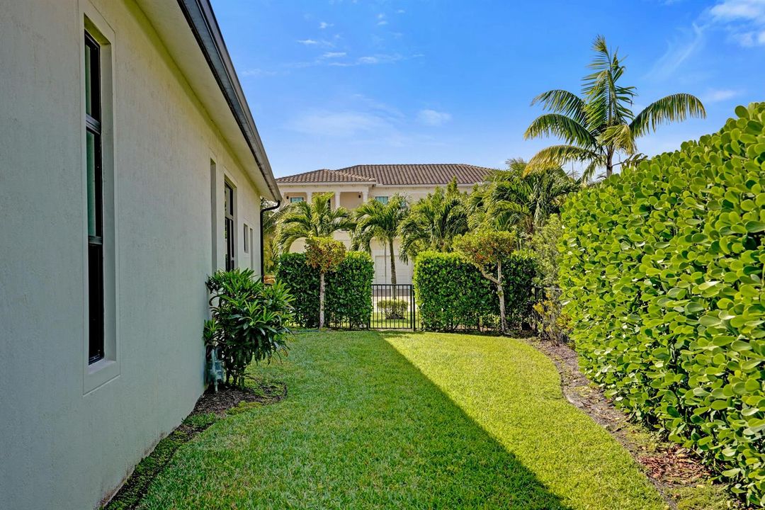 Side Yard