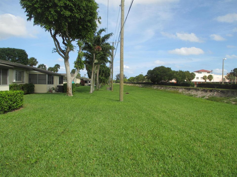 Back yard