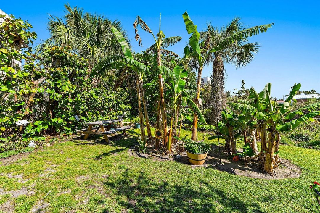 063-10310SOceanDr-205-JensenBeach-SMALL