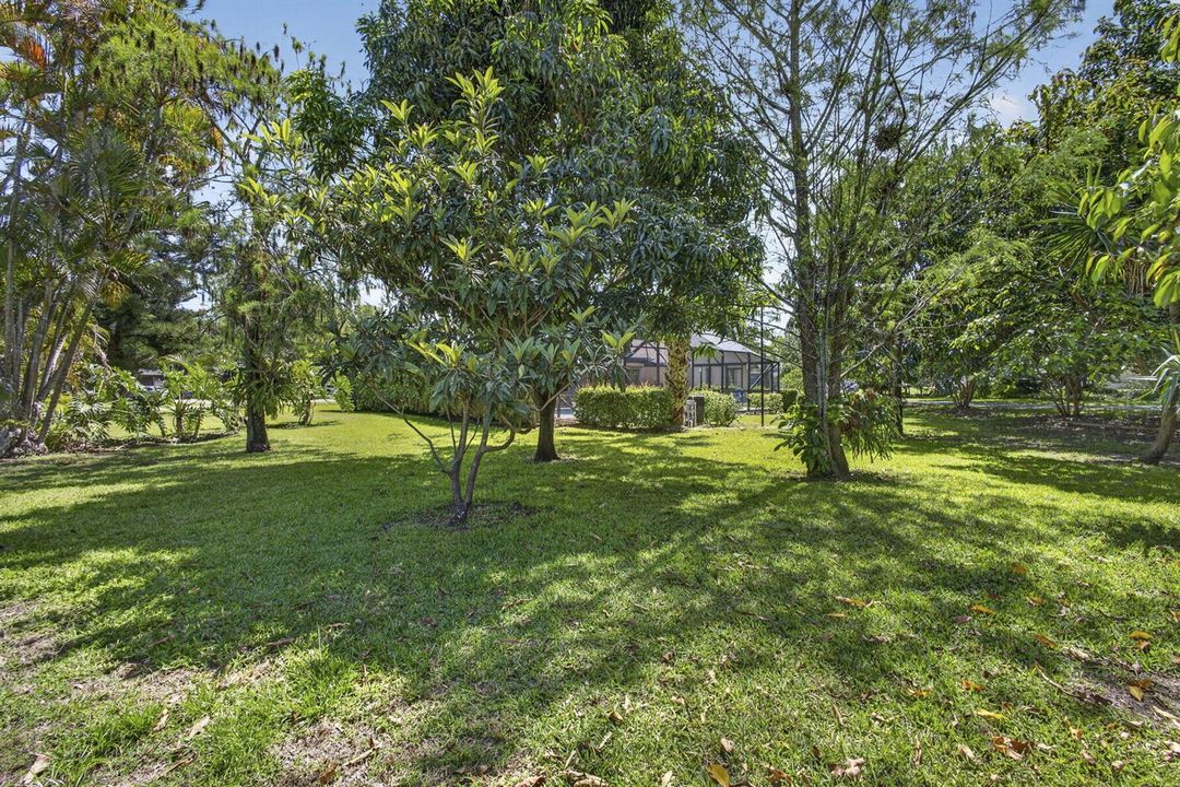 60-web-or-mls-BS1A2953
