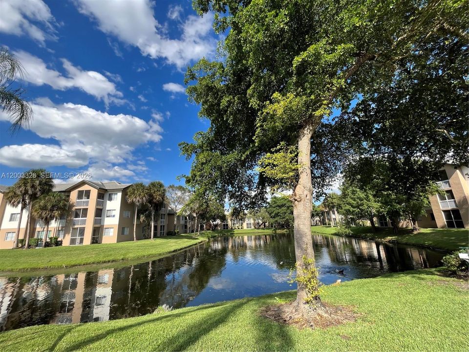 Active With Contract: $1,675 (1 beds, 1 baths, 700 Square Feet)