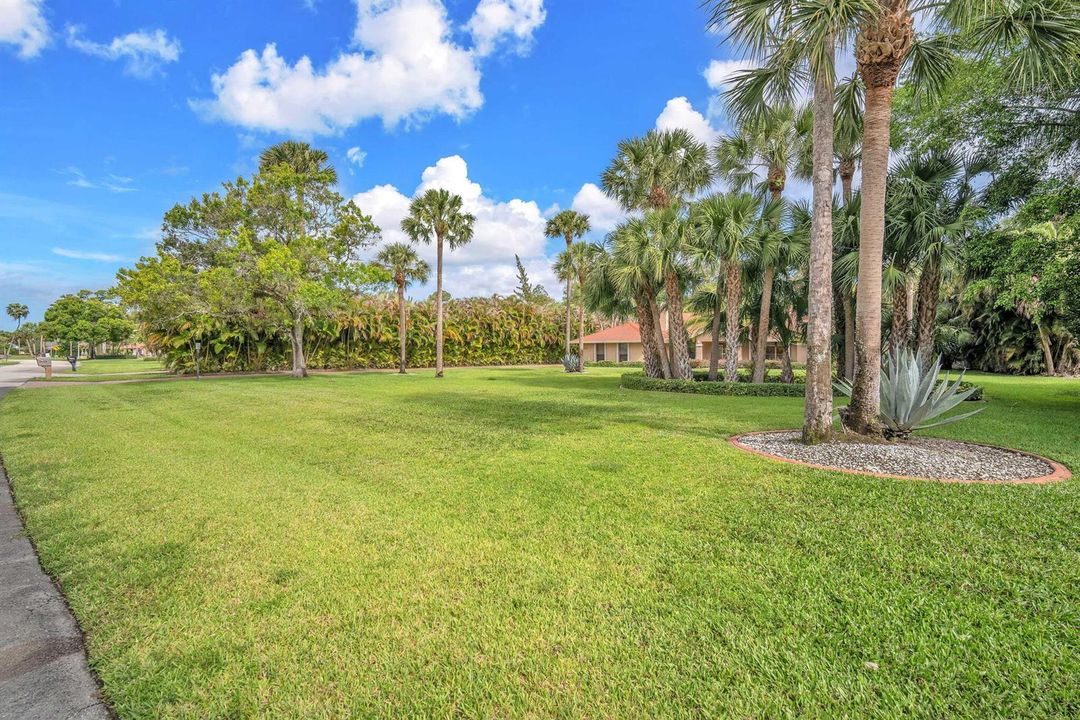 3-web-or-mls-DSC04352