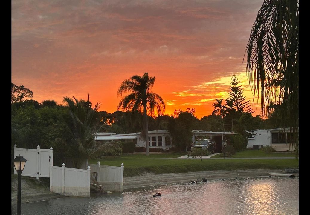 SUN VIEW