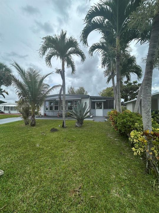RAYS YARDFRONT