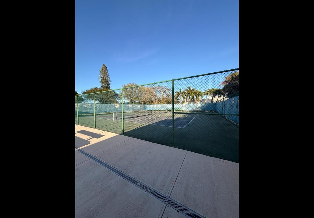 IMG_7940 PICKLE BALL