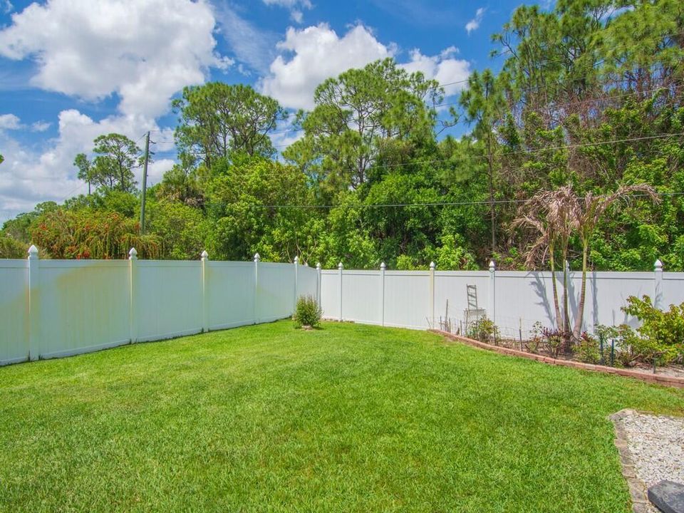 BACK YARD RIGHT