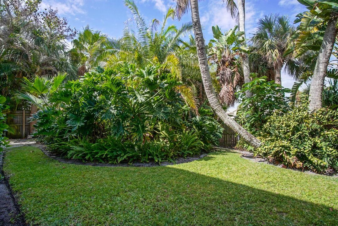 Backyard 5