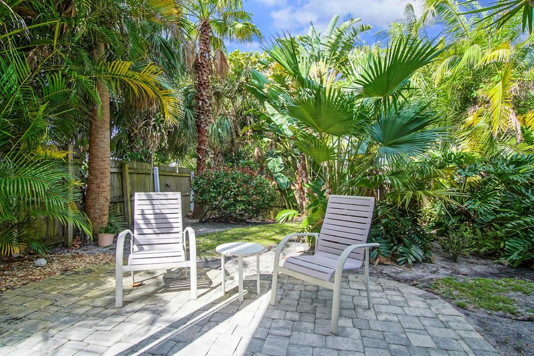 Backyard 1