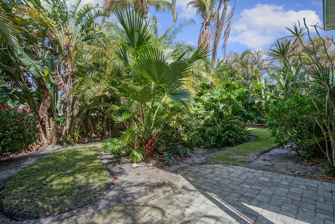 Backyard 7