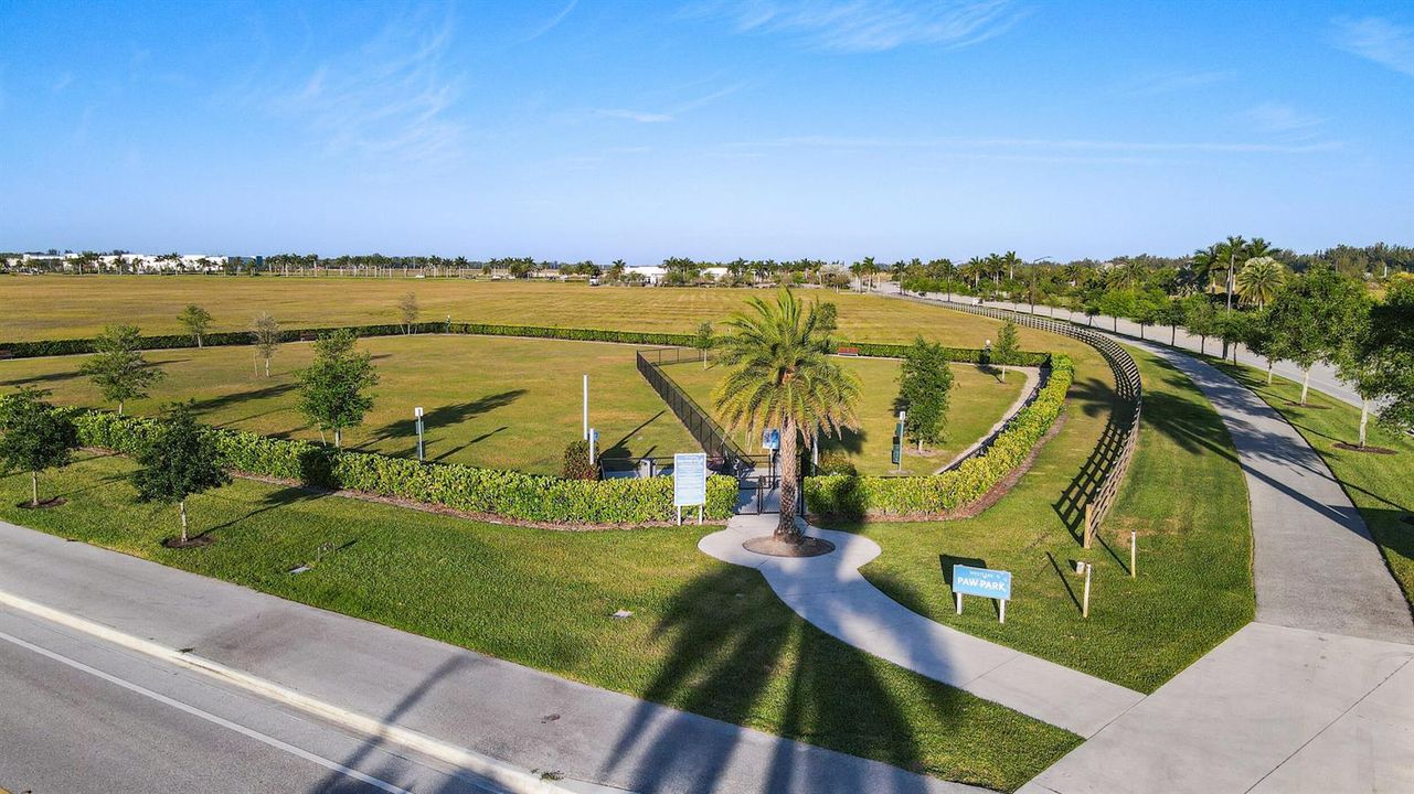 10_dji_0368