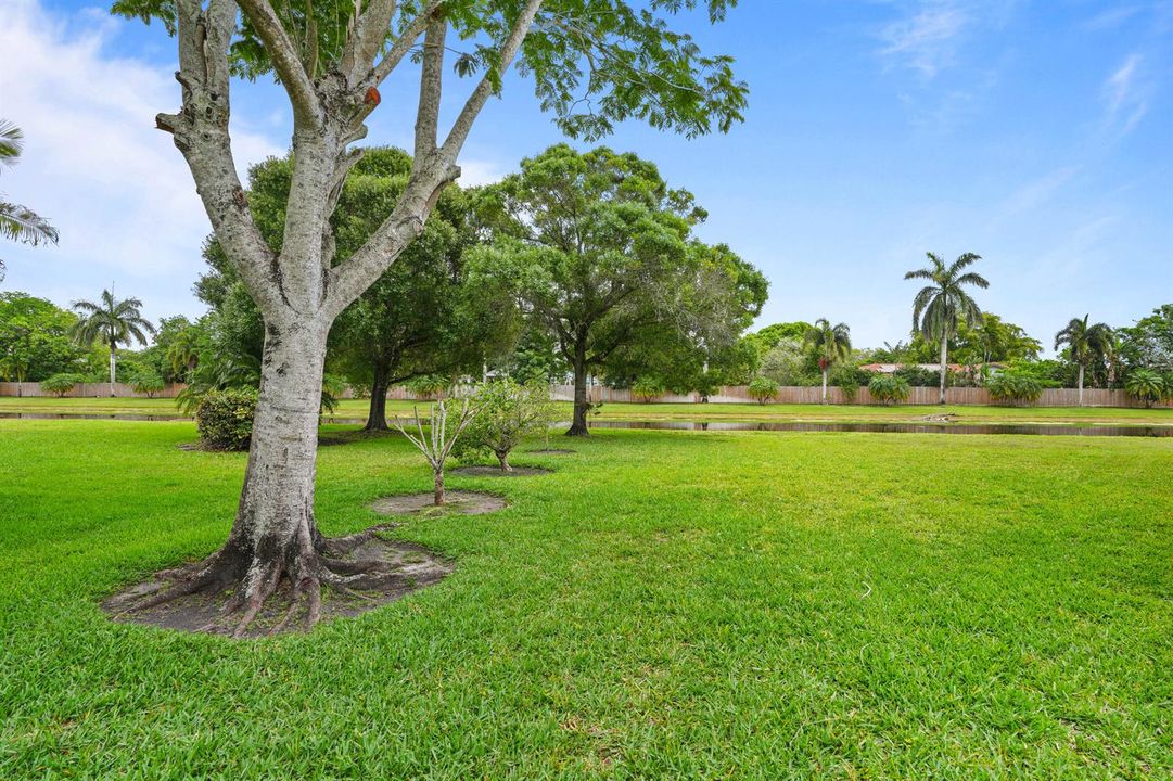 DSC03703