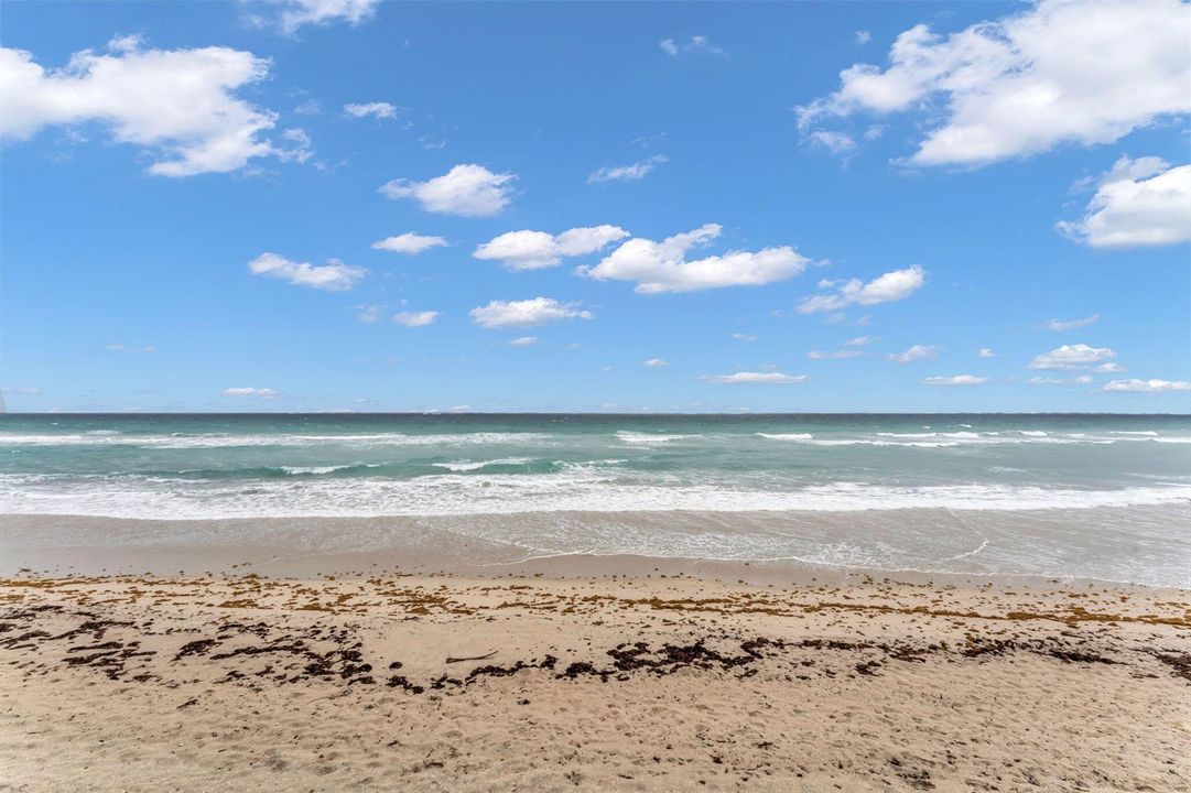 36-web-or-mls-DON08544