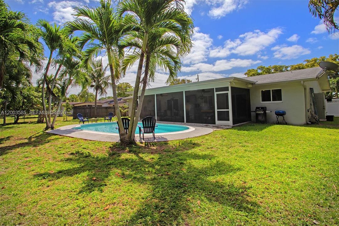 PALM TREES FOR RELAXING IN YARD
